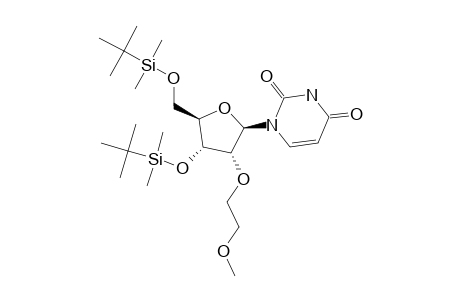 2'-O-METHOXYETHYL-3',5'-O-BIS-(TERT.-BUTYLDIMETHYLSILYL)-URIDINE
