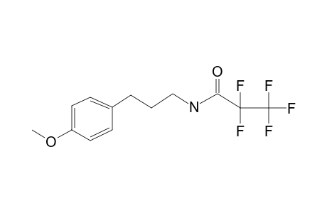 3-(4-Methoxyphenyl)propylamine, N-pentafluoropropionyl