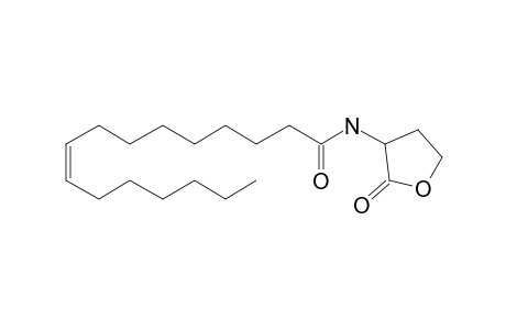 N-cis-Hexadec-9-enoyl-L-homoserine lactone