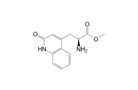 Methyl (+)-(2S)-amino-3-[2(1H)-quinolinon-4-yl]propionate