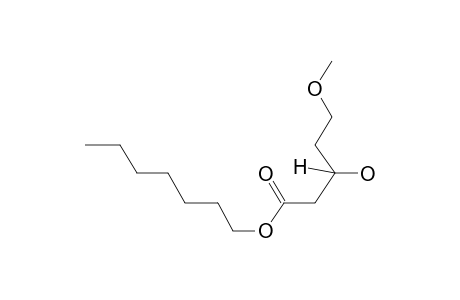 Heptyl (3s)-3-hydroxy-5-methoxypentanoate