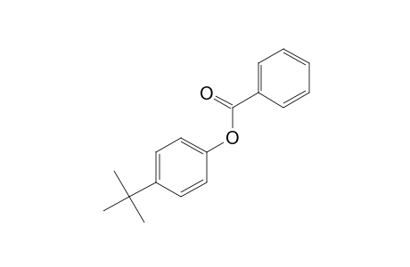 p-tert-BUTYLPHENOL, BENZOATE