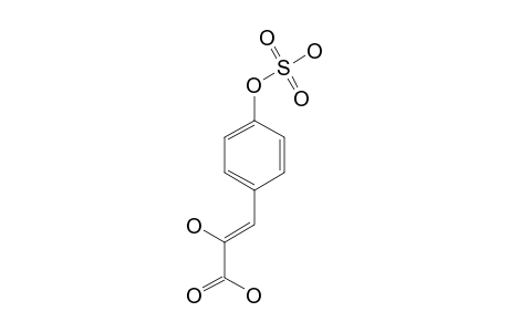 PARA-SUFOOXYPHENYLPYRUVIC-ACID