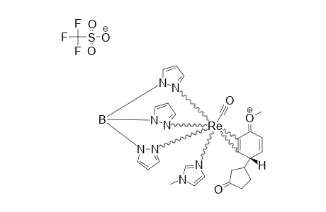 ENDO-MINOR-DIASTEREOMER