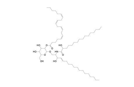 AHexCer (O-20:4)18:1;2O/16:0;O