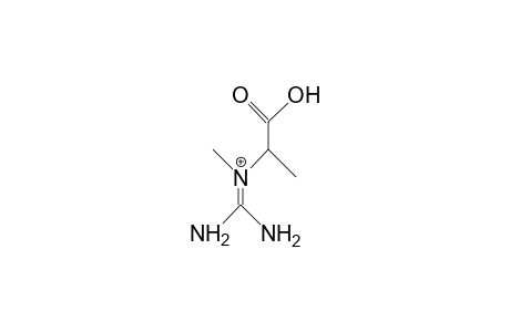 2,N-Dimethyl-glycocyamine cation