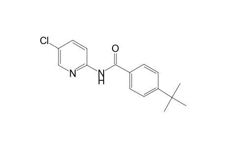 4-tert-Butyl-N-(5-chloro-pyridin-2-yl)-benzamide