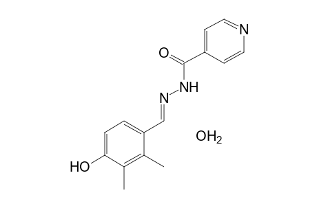 isonicotinic acid, (2,3-dimethyl-4-hydroxybenzylidene)hydrazide, monohydrate