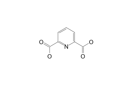 2,6-Pyridine dicarboxylic acid