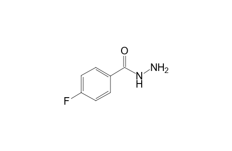 4-Fluorobenzoic hydrazide