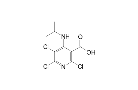 3-pyridinecarboxylic acid, 2,5,6-trichloro-4-[(1-methylethyl)amino]-