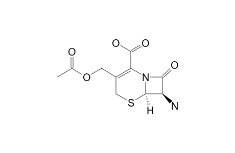 7-Aminocephalosporanic acid