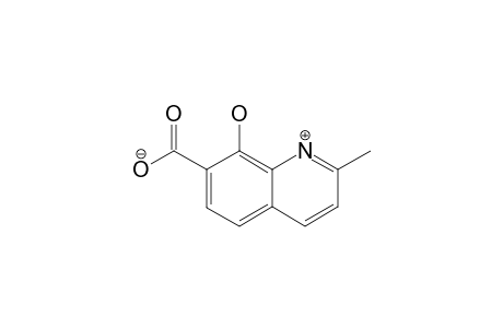 2-METHYL-8-HYDROXYQUINOLINE-7-CARBOXYLIC-ACID