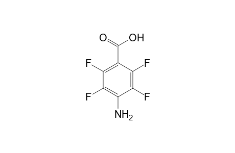 4-Amino-2,3,5,6-tetrafluorobenzoic acid