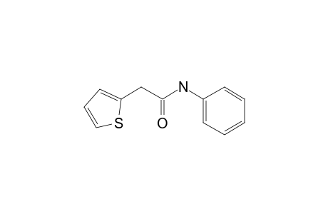 N-Phenyl-2-(2-thienyl)acetamide