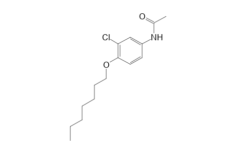 3'-chloro-4'-(heptyloxy)acetanilide