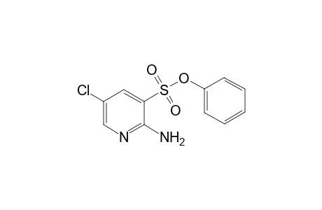 Phenyl 2-Amino-5-chloropyidine-3-sulfonate