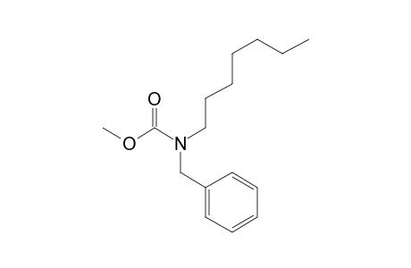 Carbonic acid, monoamide, N-benzyl-N-heptyl-, methyl ester