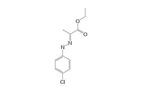 pyruvic acid, ethyl ester, p-chlorophenylhydrazone