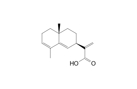 3,5,11(13)-Trieneudesma-12-oic acid