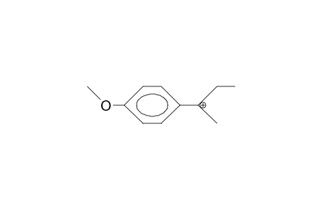 2-P-Anisyl-2-butyl cation