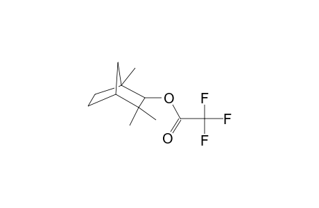 Trifluoroacetyl-.alpha.-fenchol