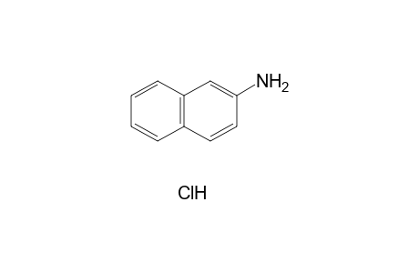 2-naphthylamine, hydrochloride