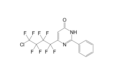 4-(4-Chloro-1,1,2,2,3,3,4,4-octafluoro-butyl)-6-phenyl-1H-pyridin-2-one