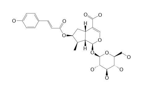 7-O-COUMAROYL-LOGANIC-ACID;LINEAROSIDE