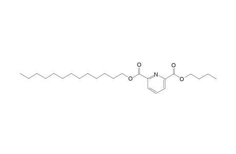 2,6-Pyridinedicarboxylic acid, butyl tridecyl ester