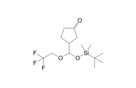 3-[{[1-(tert-Butyl)-1,1-dimethylsily]oxy}(2,2,2-trifluoroethoxy)methyl]-1-cyclopentanone