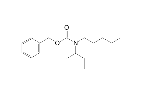 Carbamic acid, N-(2-butyl)-N-pentyl-, benzyl ester