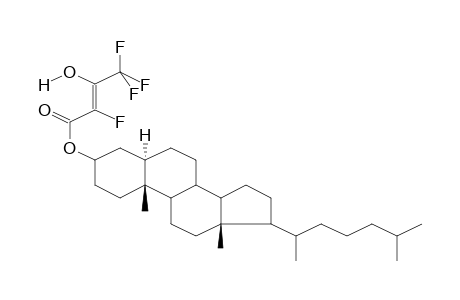 CHOLESTANYL 2,4,4,4-TRIFLUORO-3-OXOBUTANOATE (ENOL)