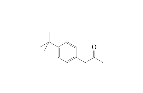 1-(4-Tert-butylphenyl)propan-2-one