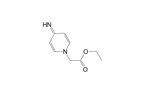 Ethyl (4-imino-1(4H)-pyridinyl)acetate