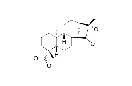 ENT-16-BETA-HYDROXY-15-OXO-KAURAN-19-OIC-ACID