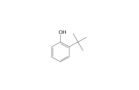 o-Tert-butylphenol