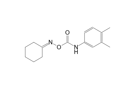 cyclohexanone, O-[(3,4-xylyl)carbamoyl]oxime