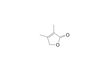 3,4-DIMETHYLFURAN-2-(5H)-ONE