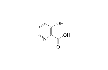 3-Hydroxypyridine-2-carboxylic acid