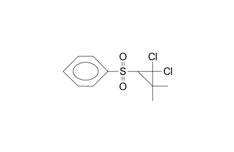 2,2-dichloro-3,3-dimethylcyclopropyl phenyl sulfone