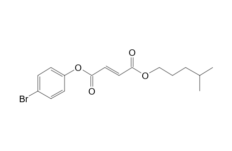 Fumaric acid, 4-bromophenyl isohexyl ester