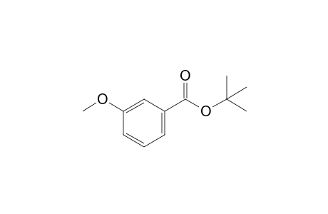 Benzoic acid, 3-methoxy-, 1,1-dimethylethyl ester