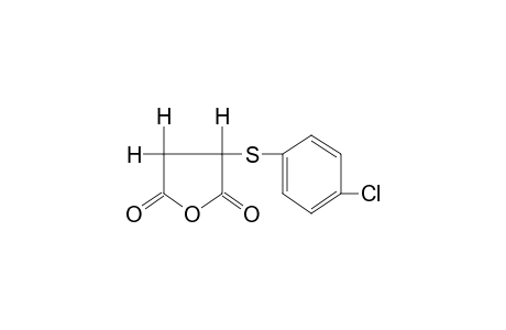 [(p-CHLOROPHENYL)THIO]SUCCINIC ANHYDRIDE