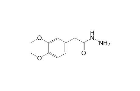 3,4-Dimethoxyphenylacetic acid hydrazide