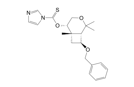 (1S,5S,6S,8S)-8-BENZYLOXY-5-(IMIDAZOLYLTHIOCARBONYL)-OXY-2,2,6-TRIMETHYL-3-OXABICYCLO-[4.2.0]-OCTANE