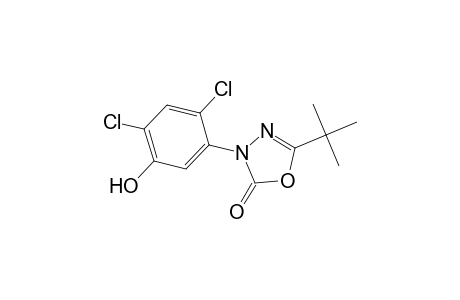 1,3,4-Oxadiazol-2(3H)-one, 3-(2,4-dichloro-5-hydroxyphenyl)-5-(1,1-dimethylethyl)-