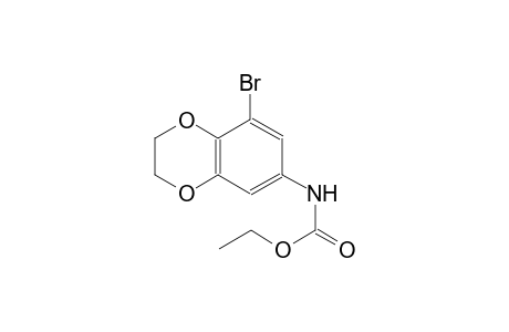 ethyl 8-bromo-2,3-dihydro-1,4-benzodioxin-6-ylcarbamate