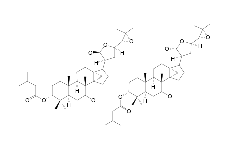 Skimmiarepin A