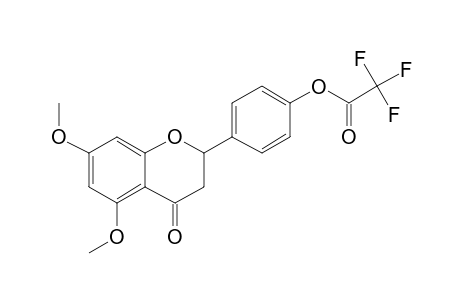 5,7-Dimethoxy-4'-hydroxyflavanone, trifluoroacetate